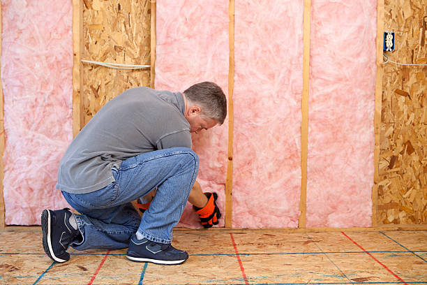 Best DIY Insulation Kits and Guidance in Yorktown, IN